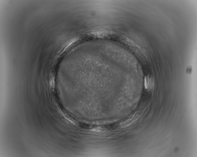 X0000098201155200805081104