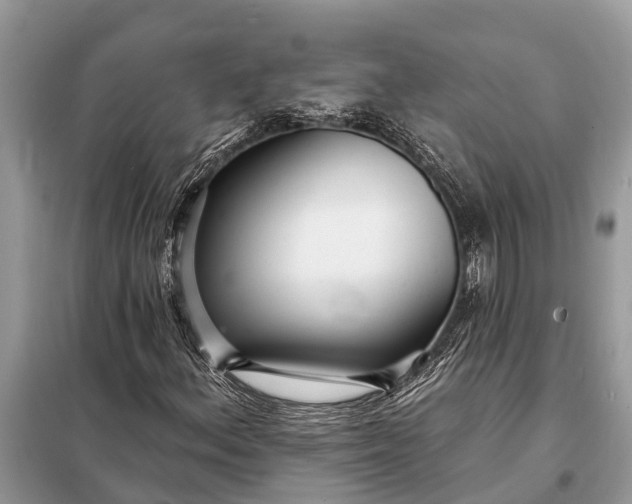 X0000098201156200805081104