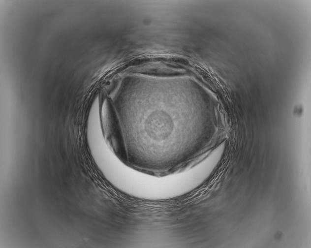 X0000098201157200805081104
