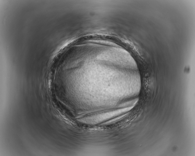 X0000098201159200805081104