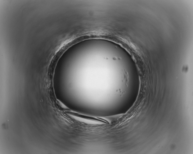 X0000098201160200805081104