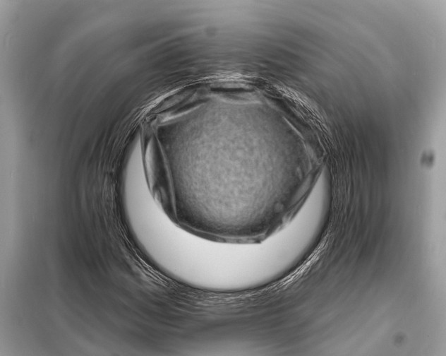 X0000098201161200805081104