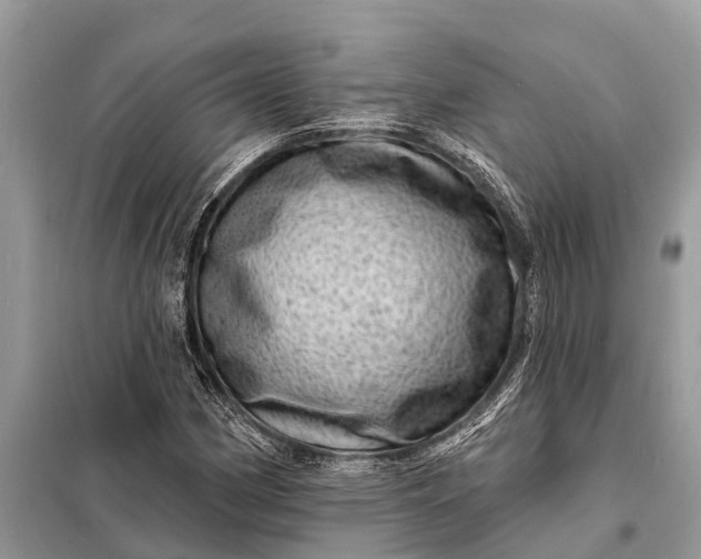 X0000098201162200805081104