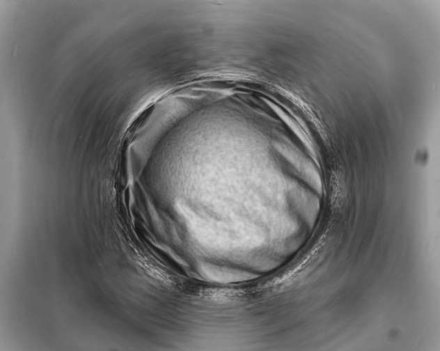 X0000098201163200805081104