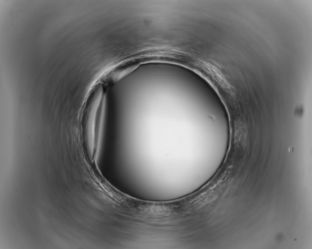 X0000098201164200805081104