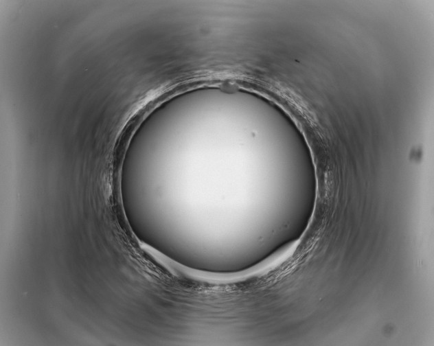 X0000098201165200805081104