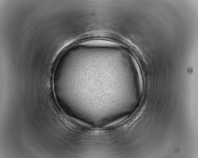X0000098201166200805081104