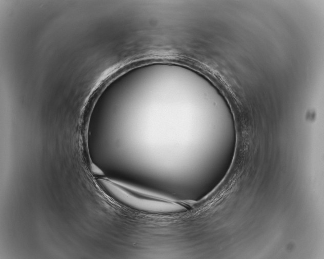 X0000098201168200805081104