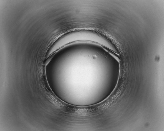 X0000098201169200805081104