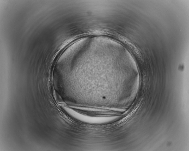 X0000098201170200805081104