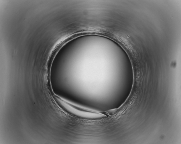 X0000098201172200805081104