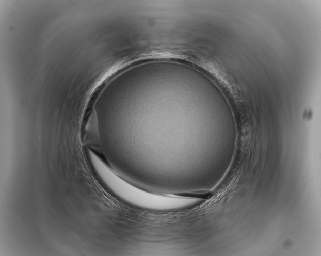 X0000098201173200805081104