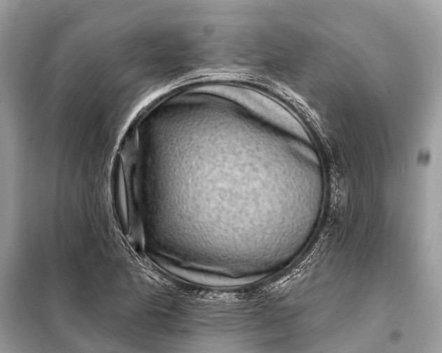 X0000098201174200805081104