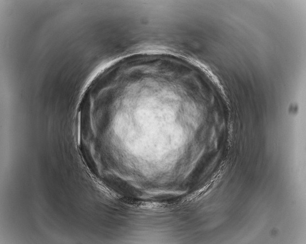 X0000098201175200805081104