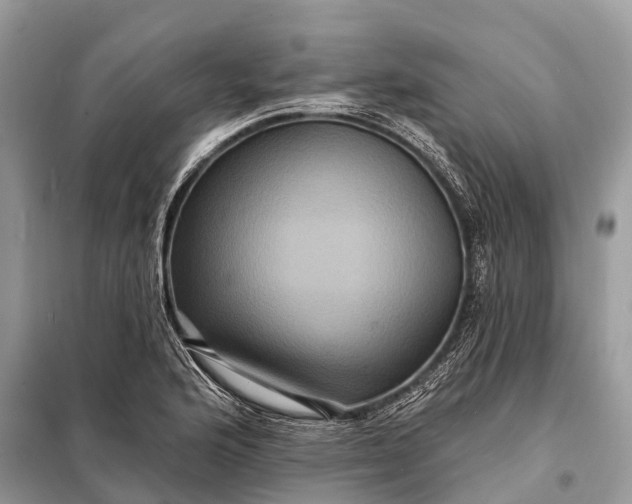 X0000098201176200805081104