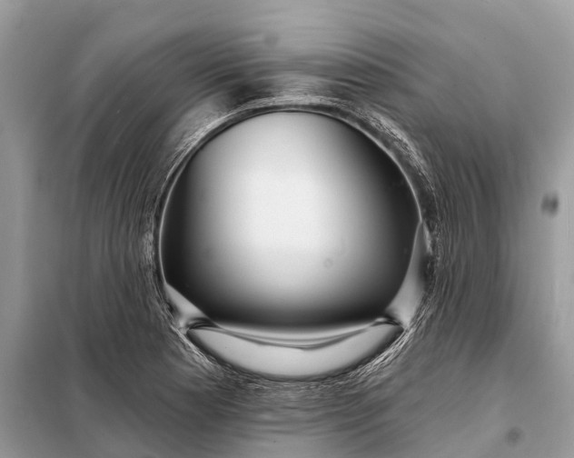 X0000098201177200805081104