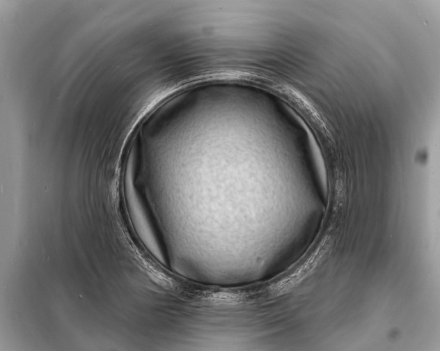 X0000098201178200805081104