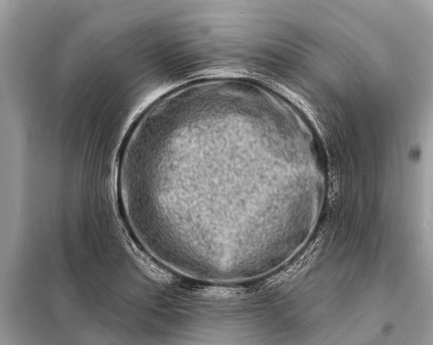 X0000098201179200805081104