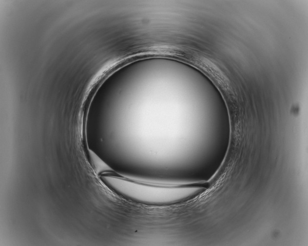 X0000098201180200805081104
