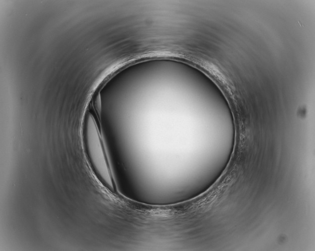 X0000098201181200805081104