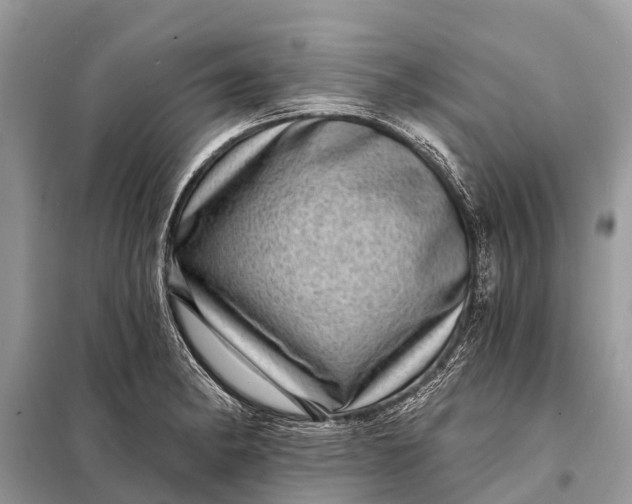 X0000098201182200805081104