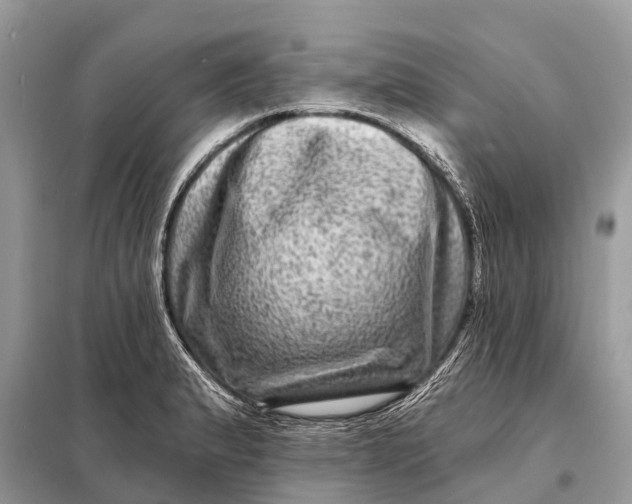 X0000098201183200805081104