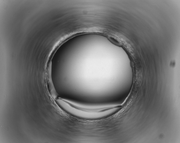 X0000098201184200805081104