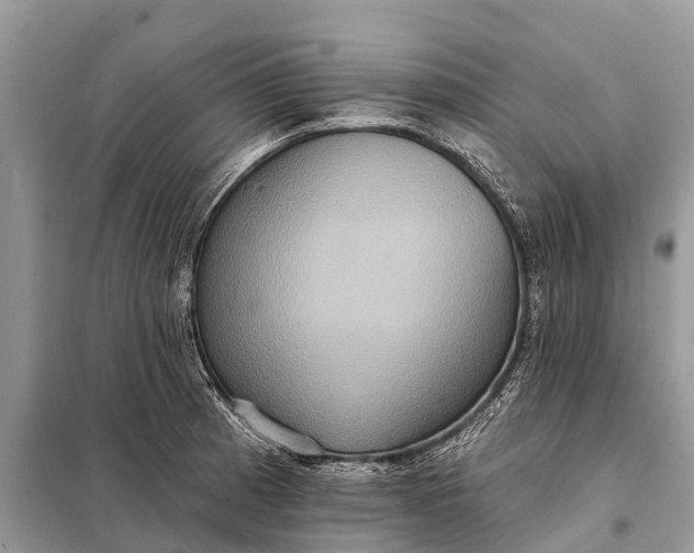 X0000098201185200805081104
