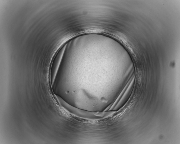 X0000098201186200805081104