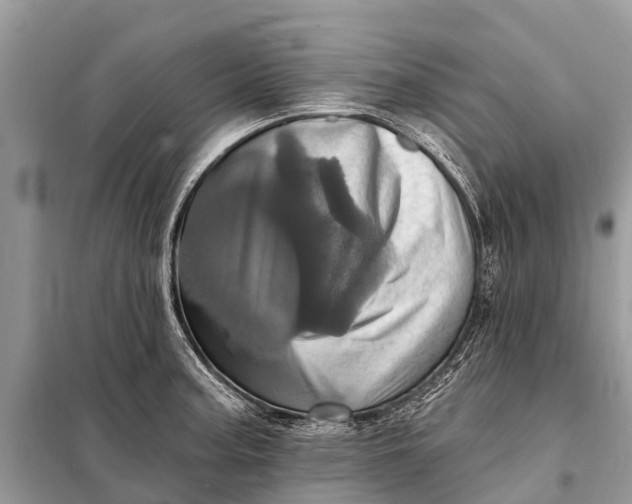 X0000098201187200805081104
