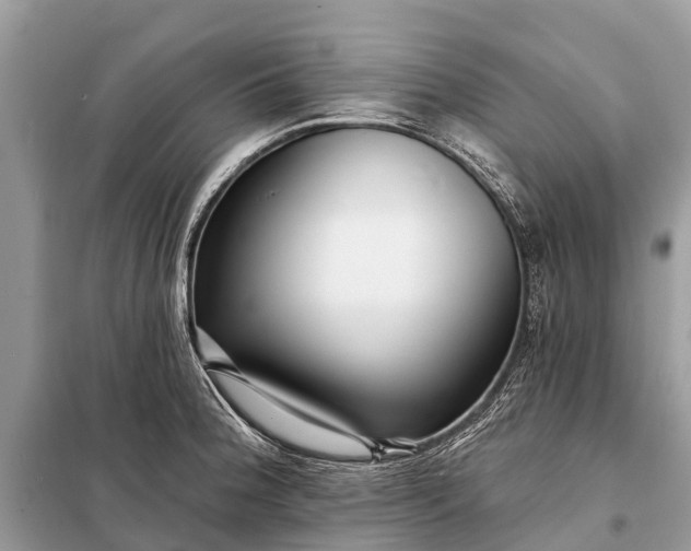 X0000098201188200805081104