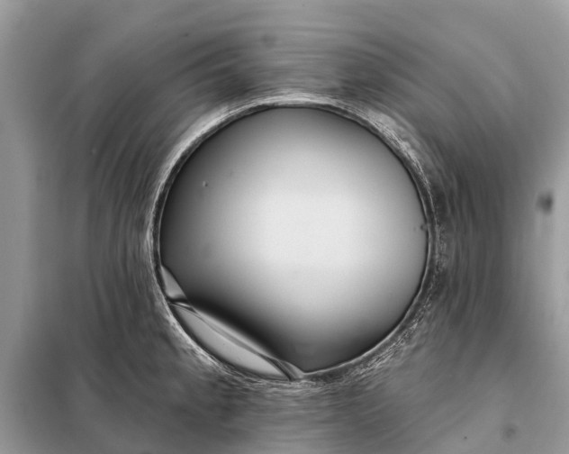 X0000098201189200805081104