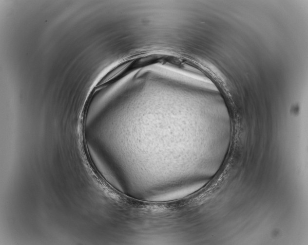 X0000098201190200805081104