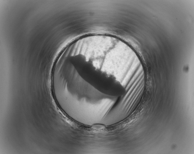 X0000098201191200805081104