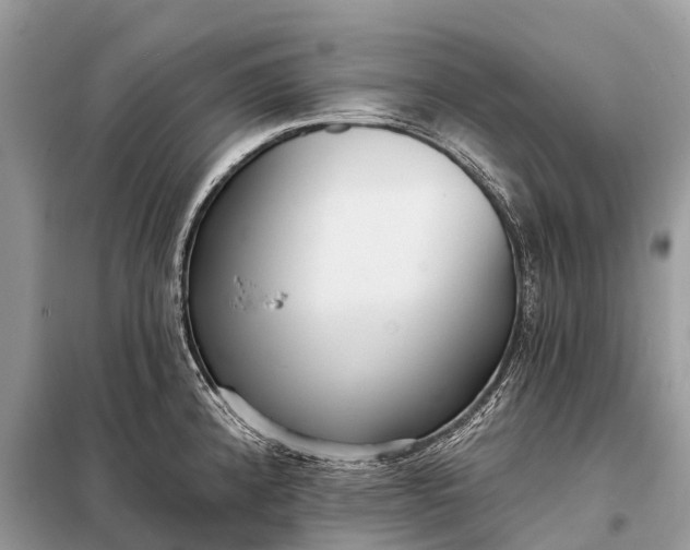 X0000098201192200805081104
