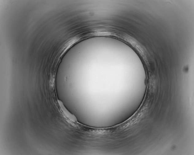 X0000098201193200805081104