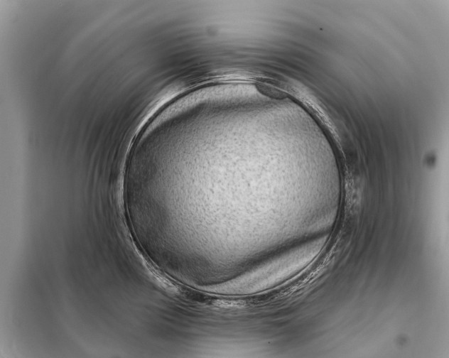X0000098201194200805081104