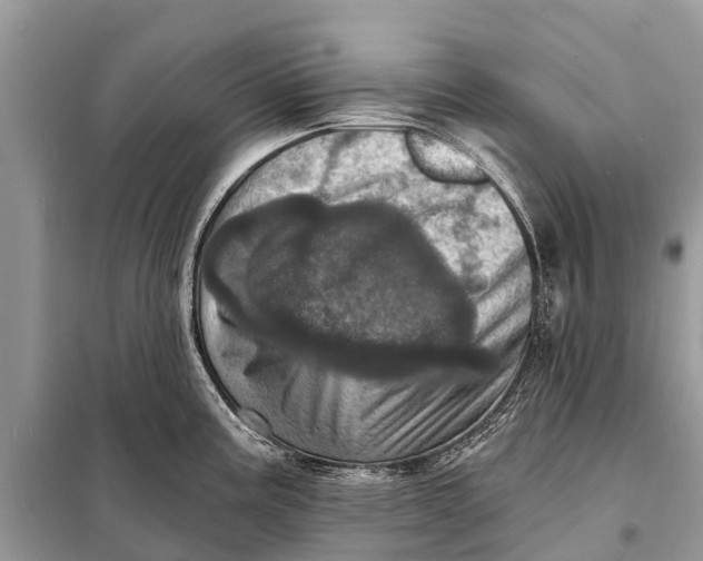 X0000098201195200805081104