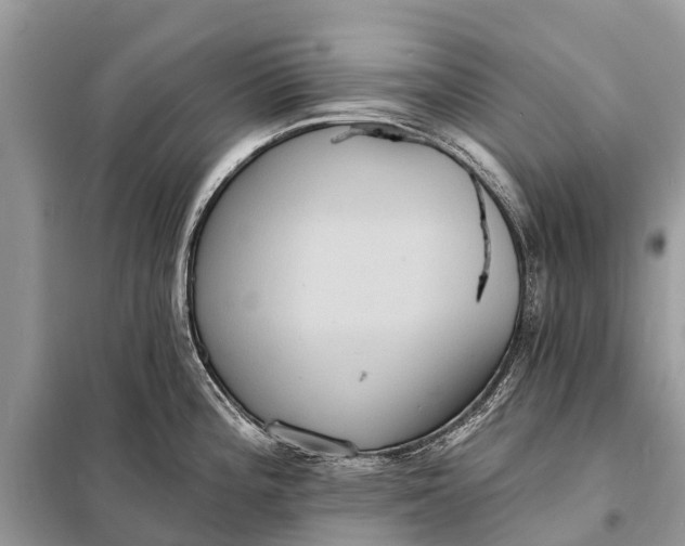 X0000098201196200805081104
