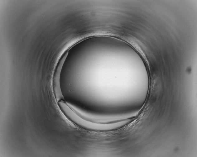 X0000098201197200805081104