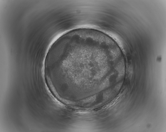 X0000098201199200805081104