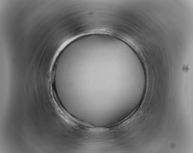 X0000098201200200805081104