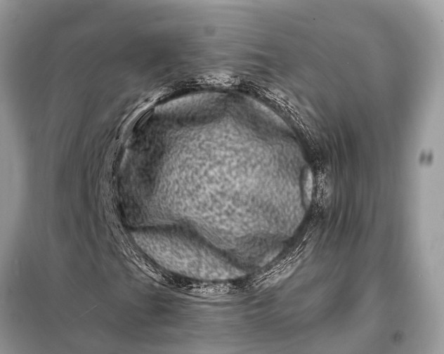 X0000098201201200805081103
