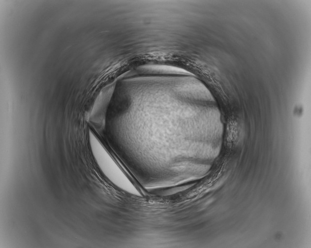 X0000098201202200805081103
