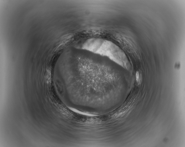 X0000098201203200805081103