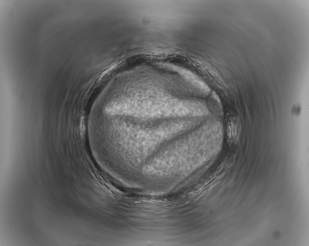 X0000098201204200805081103