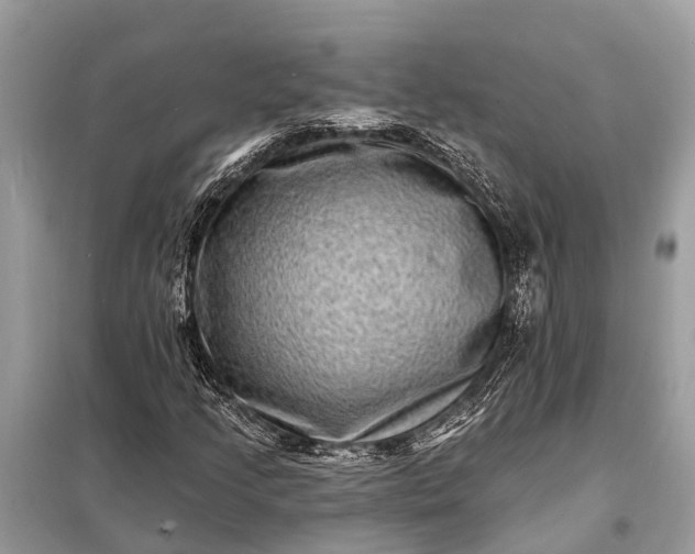 X0000098201205200805081103
