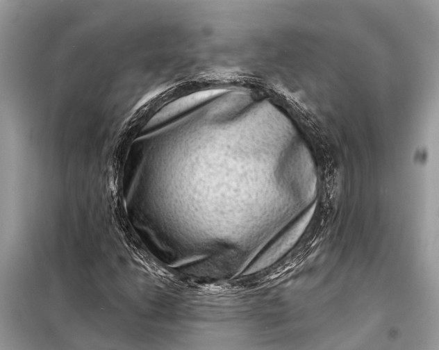 X0000098201206200805081103