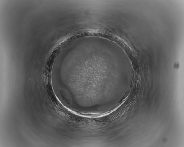 X0000098201207200805081103