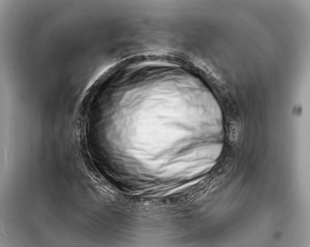 X0000098201208200805081103